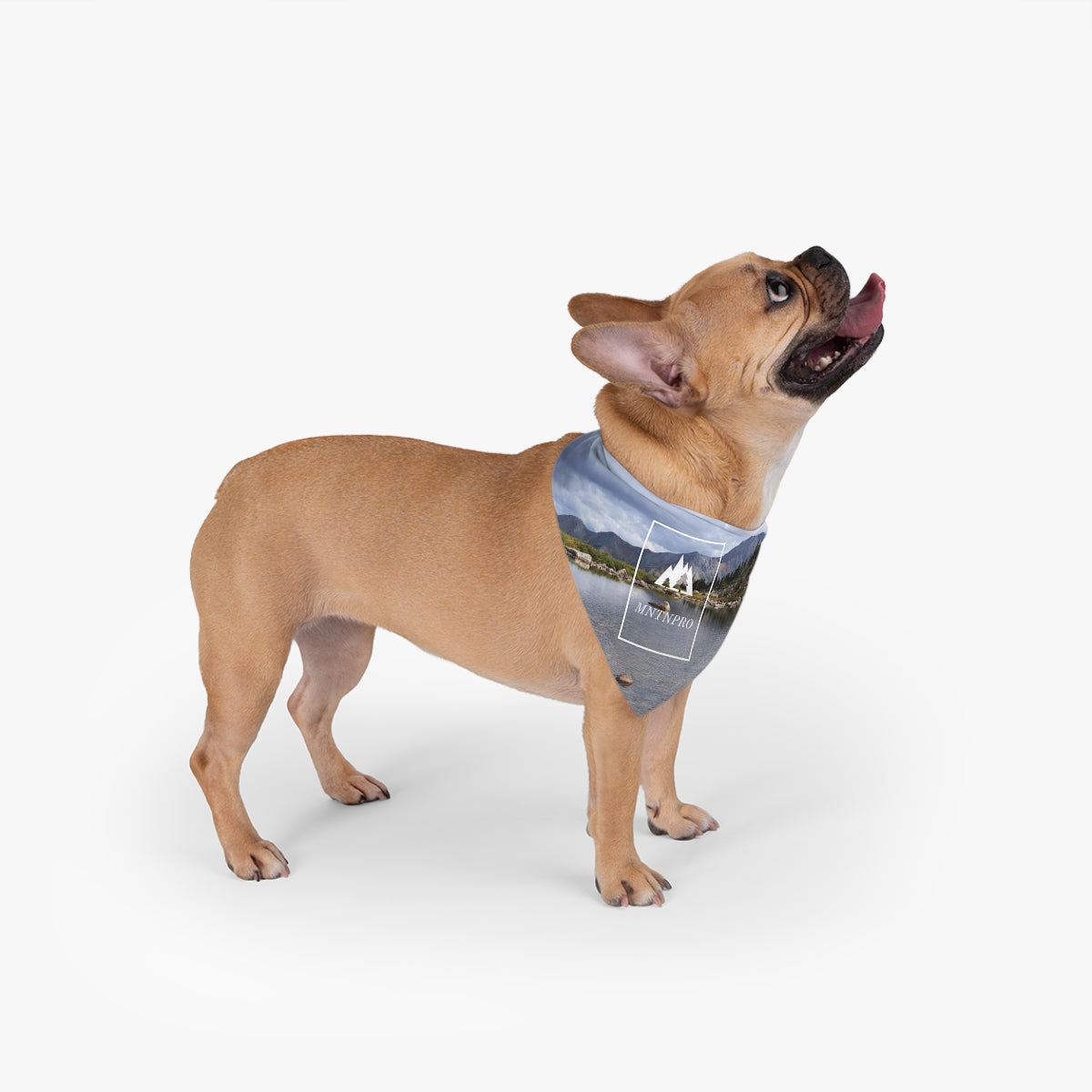 MNTNPRO Pet Bandana